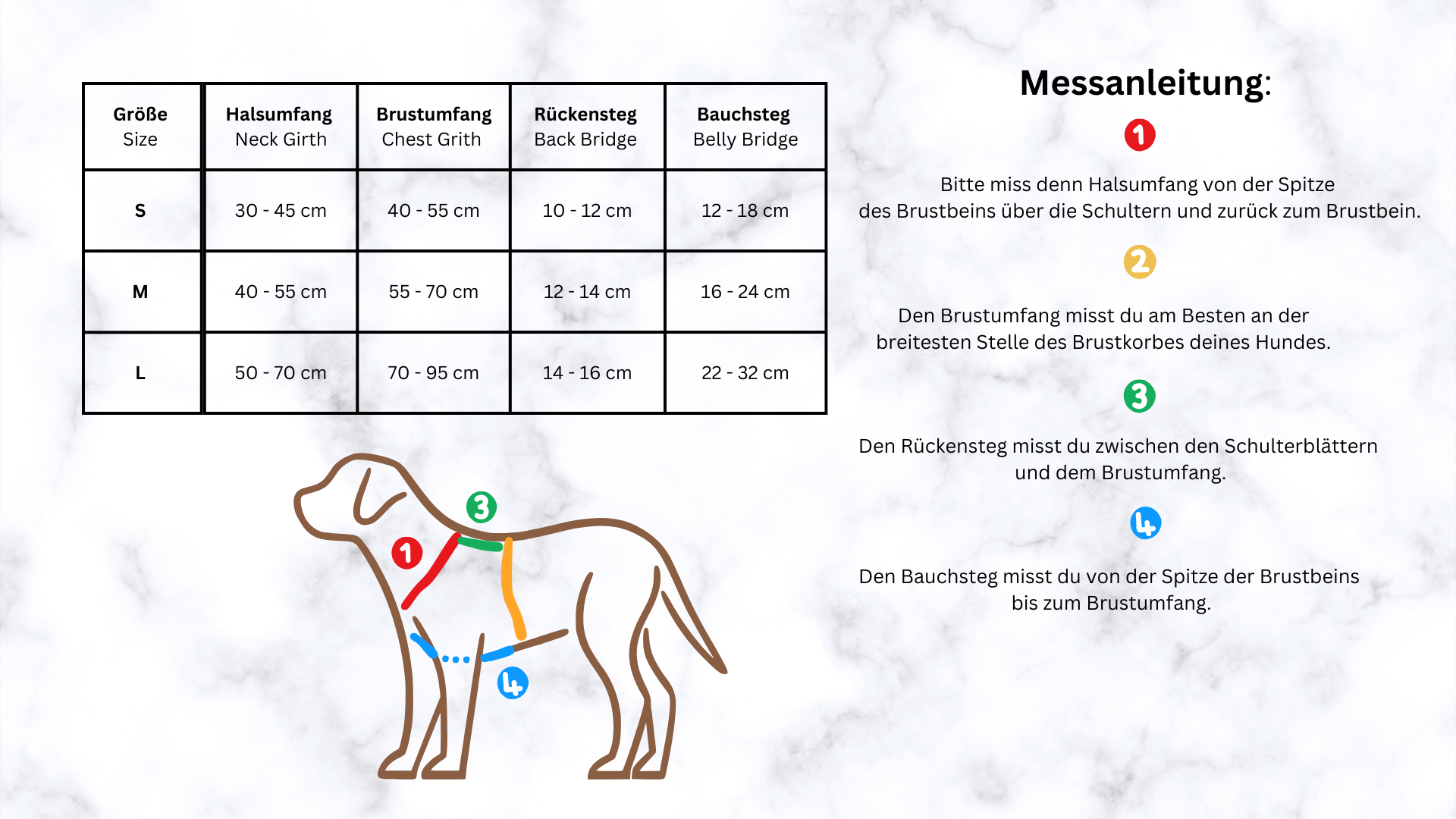 Robustes Biothane Geschirr – Bild 2