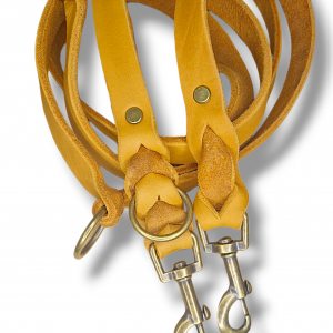 Vielseitige Fettlederleine für mittlere und große Hunde