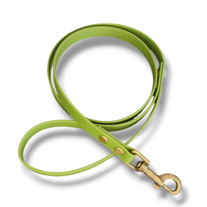 Schlichte Führleine aus Biothane