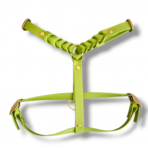 Robustes Biothane Geschirr