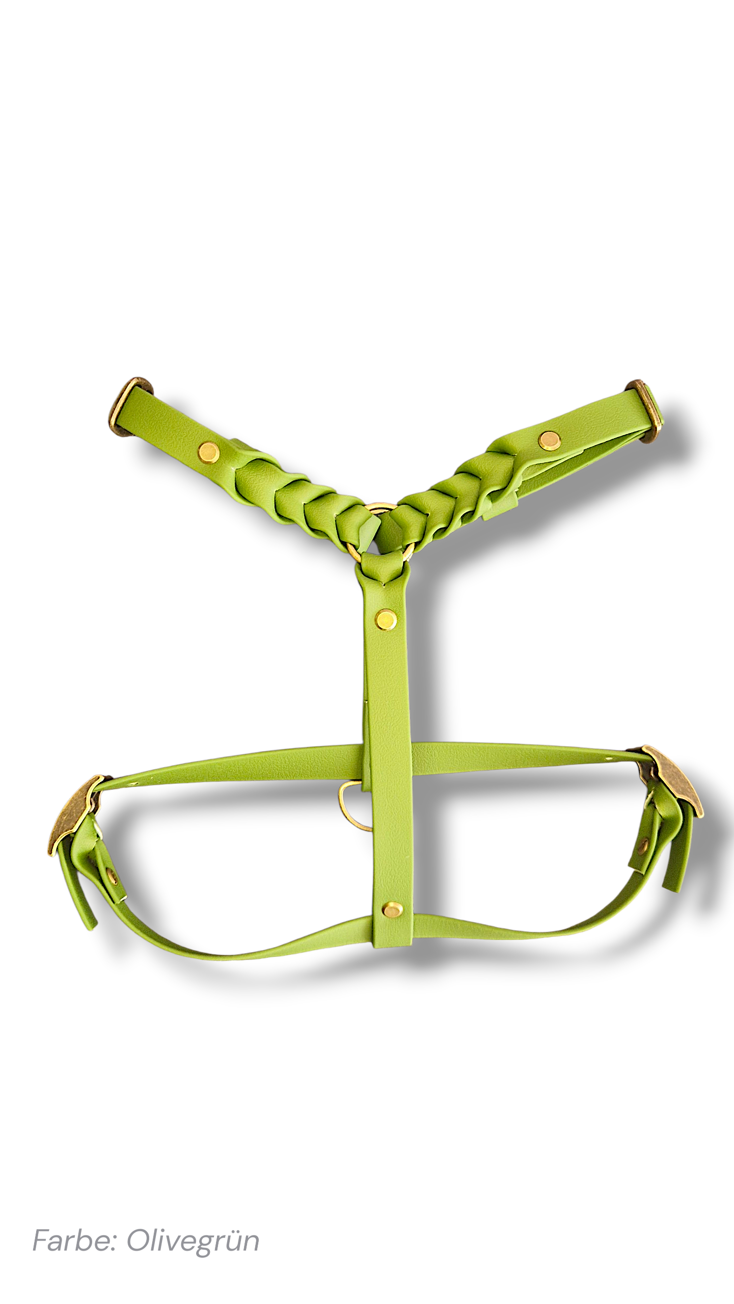 Robustes Biothane Geschirr