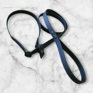 Schlichte Retrieverleine aus Biothane